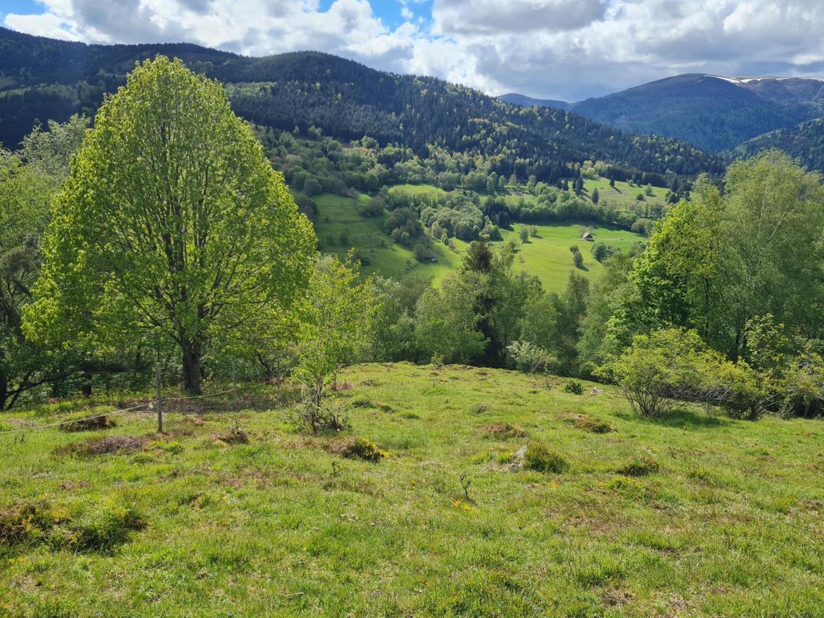 Spacieux Et Confortables Gites A Proximite Randonnees, Lacs, Ski Nature Sondernach Exterior foto