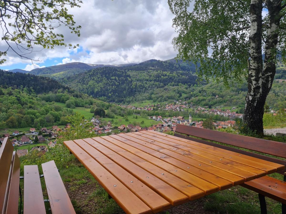 Spacieux Et Confortables Gites A Proximite Randonnees, Lacs, Ski Nature Sondernach Exterior foto