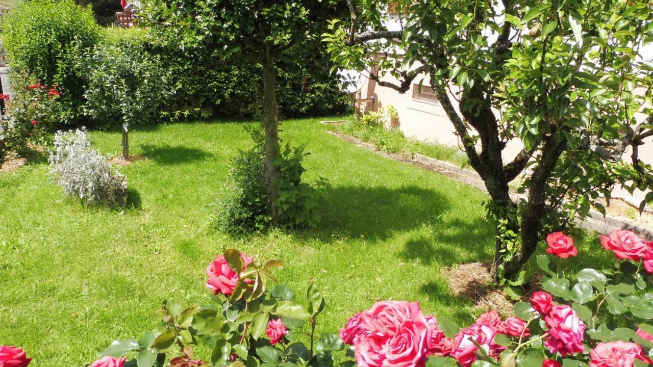 Spacieux Et Confortables Gites A Proximite Randonnees, Lacs, Ski Nature Sondernach Exterior foto