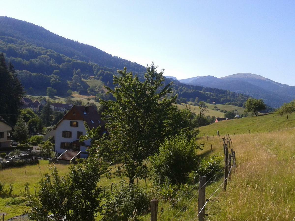 Spacieux Et Confortables Gites A Proximite Randonnees, Lacs, Ski Nature Sondernach Exterior foto
