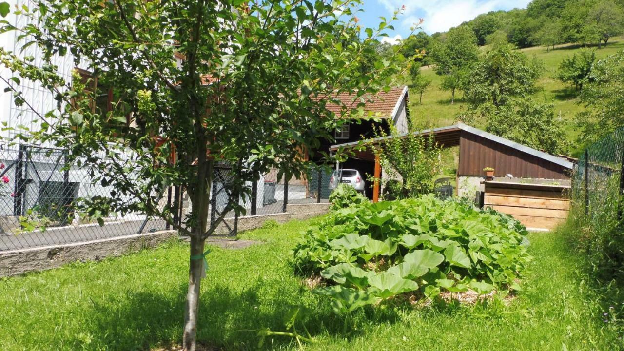 Spacieux Et Confortables Gites A Proximite Randonnees, Lacs, Ski Nature Sondernach Exterior foto