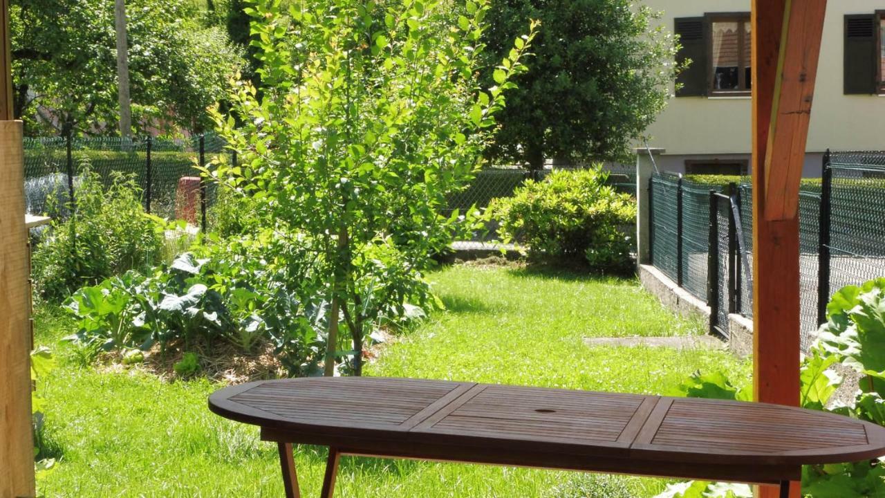 Spacieux Et Confortables Gites A Proximite Randonnees, Lacs, Ski Nature Sondernach Exterior foto
