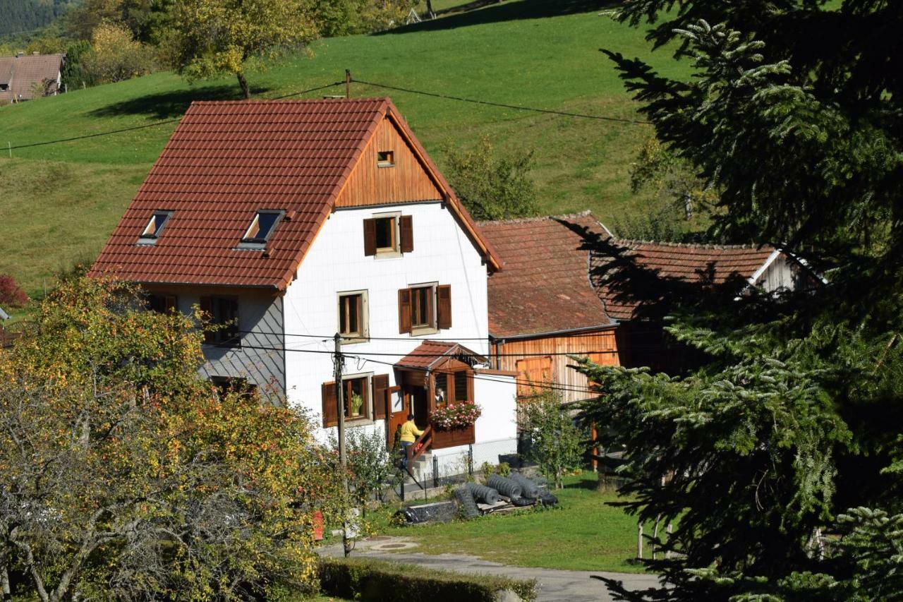 Spacieux Et Confortables Gites A Proximite Randonnees, Lacs, Ski Nature Sondernach Exterior foto