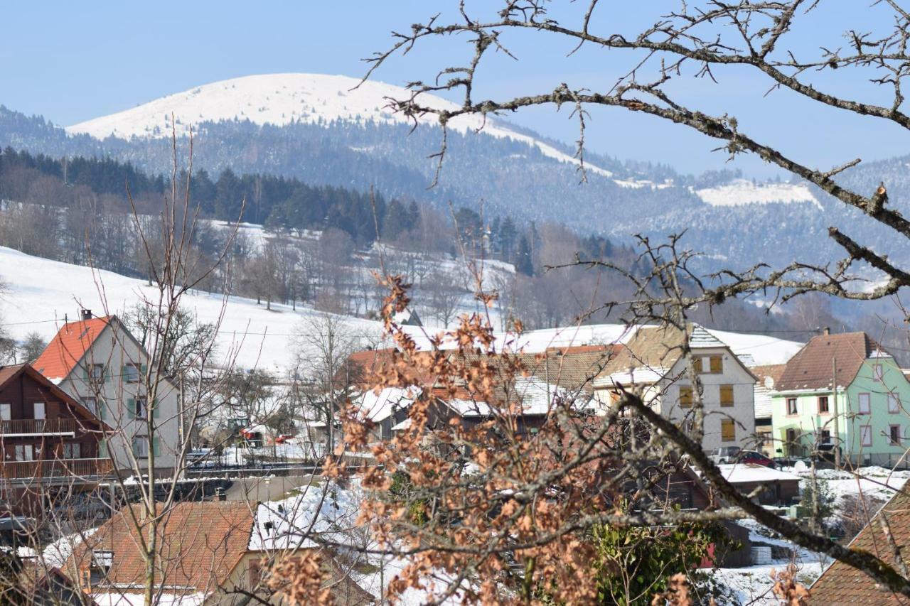 Spacieux Et Confortables Gites A Proximite Randonnees, Lacs, Ski Nature Sondernach Exterior foto